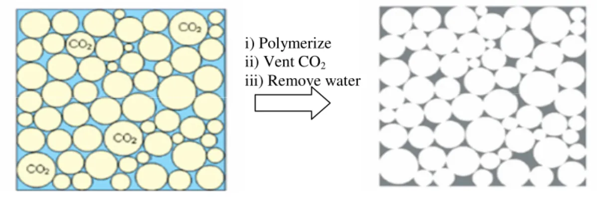 Figure 1.3– Schematic representation of the CO 2 /Water emulsion templating process. Adapted from [35] 