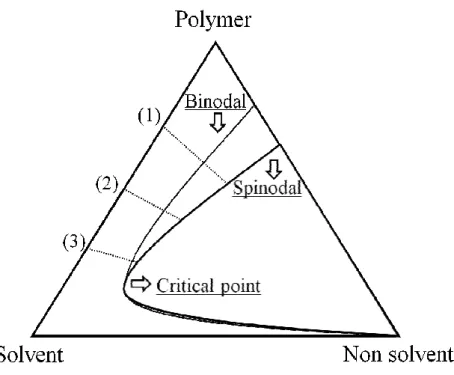 Figure 1.6– General phase diagram for the system polymer/solvent/non-solvent with different concentration  paths