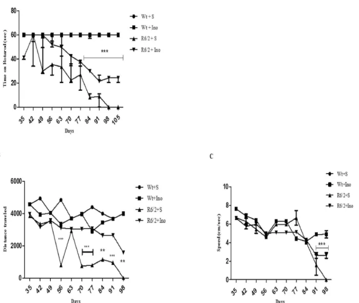 Fig 2. Effect of INO-1001 treatment on motor coordination. A: Graph shows values as mean time SEM spent on Rotarod by 15-week-old wild type mice and R6/2 mice treated with INO-1001 and saline