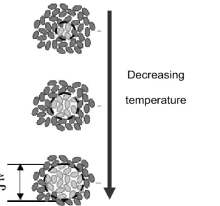 Figure  1.  4-  Schematic  representation  for  the  increasing  cooperative  region  with  decreasing  � near the glass transition (reproduced from ref [61])