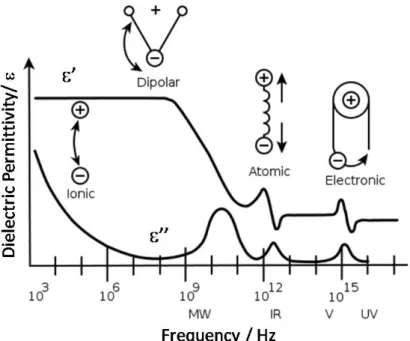 Figure  1.  11-  A  dielectric  permittivity  spectrum  over  a  wide  range  of  frequencies