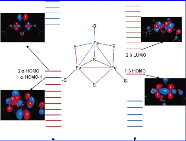 Figure 9. Schematic diagram of a reduced [Fe 3 S 4 ] cluster. The [Fe 2 S 2 ] subsite (in red) has 10 occupied R orbitals (bold red) with HOMO and the HOMO-1 marked as 2 R and 1 R , respectively