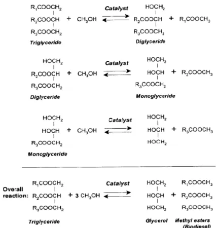 Figure 1.4- Overall transesterification reaction 1 . 