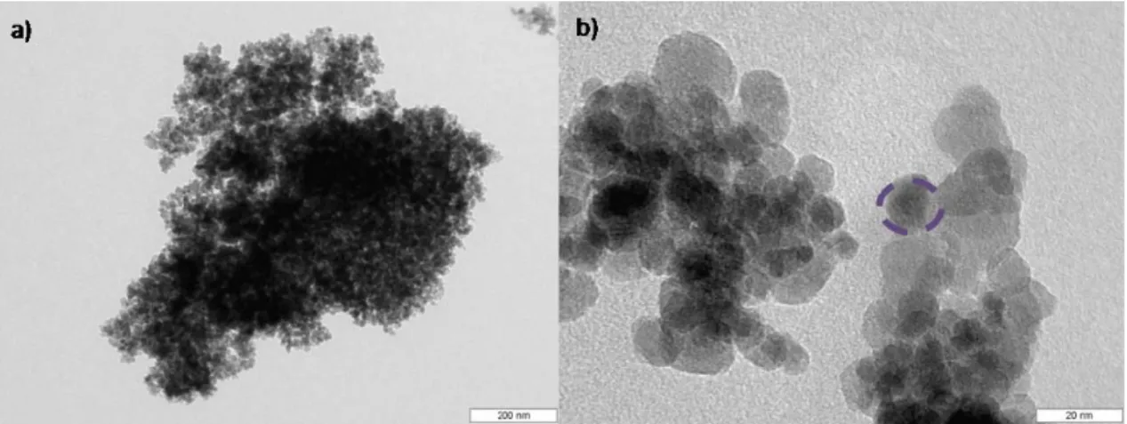 Figure 2-4 TEM micrographs of GA-co-precipitated magnetic nanoparticles taken at  different magnifications (a) cluster of particles; (b) dotted circle indicates a single particle 
