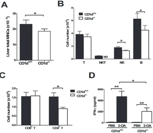 Fig 6. Decreased cell infiltrates and IFN-γ production of liver mononuclear cells in 2-OA-BSA immunized CD1d -/- mice
