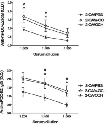 Fig 2. Increased serum AMAs in mice injected with 2-OA-BSA/OCH. Wild type mice were immunized with 2-OA-BSA and α-GalCer (group name: 2-OA/a-GC), OCH (group name: 2-OA/OCH) or PBS (group name: