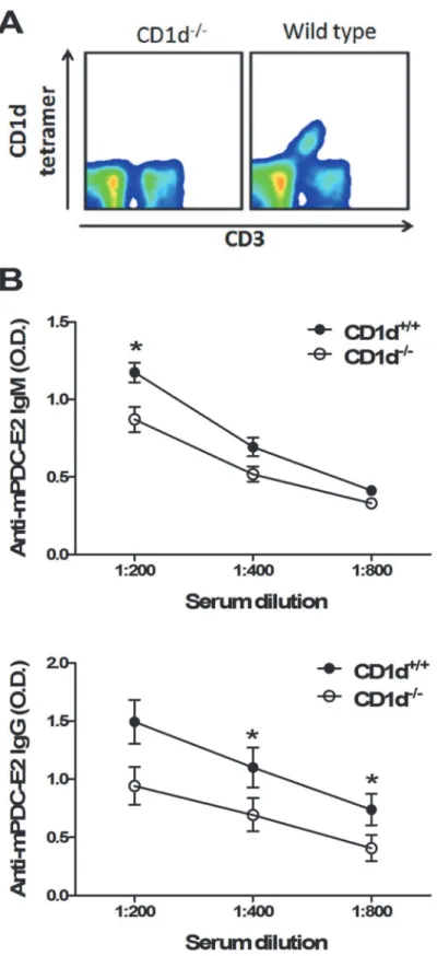 Fig 5. Decreased AMAs in 2-OA-BSA immunized CD1d -/- mice. (A) iNKT cell deficiency in CD1d -/- mice was confirmed by staining with CD3 and CD1d tetramer