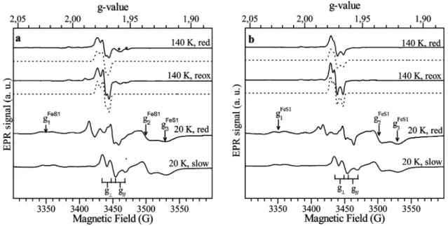 Figure 2. (a) EPR signals obtained after ethylene glycol addition to a dithionite-reduced DgAOR sample (solid lines) and simulations (dash lines)