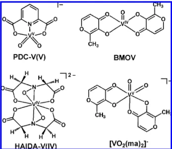 Figure 1. Molecular structures of PDC - V(V), BMOV, HAIDA - V(IV), and [VO 2 (ma) 2 ] - .