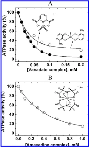 Figure 2. Effects of (A) BMOV ( O ) and PDC - V(V) ( b ), (B) HAIDA - -V(IV) on Ca 2+ -ATPase activity by the SR calcium pump
