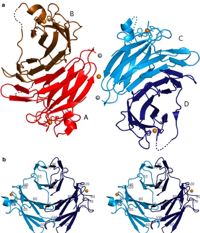 Fig. 2 Crystal structure of the oxidized form of Treponema pallidum (Tp) SOR. a One asymmetric unit of TpSOR showing the two functional dimers (AB and CD in two shades of red and blue, respectively) and viewed along one of the local dyads.