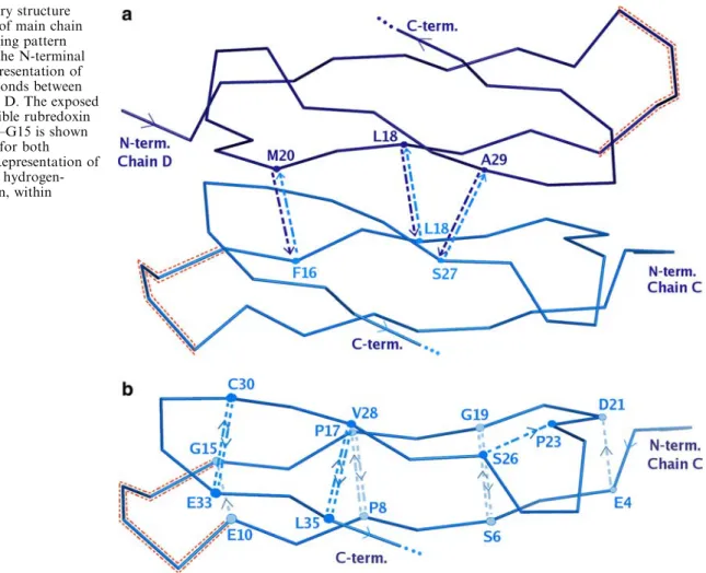 Fig. 3 Secondary structure representation of main chain hydrogen bonding pattern (NH ﬁ O) at the N-terminal domain