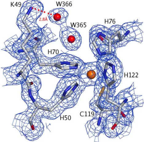 Fig. 4 Details of the active site of molecule C and