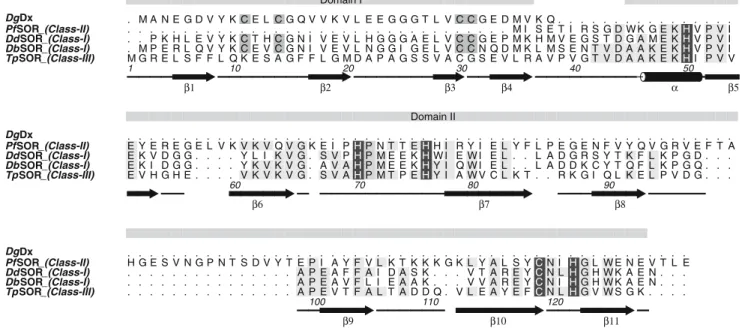 Fig. 5 Amino acid sequence alignment of Desulfovibrio gigas desulforedoxin (DgDx) and SORs from Pyrococcus furiosus (PfSOR), Desulfovibrio desulfuricans (DdSOR), Desulfoarculus baarsii (DbSOR) and TpSOR