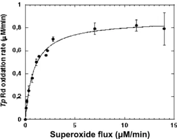 Fig. 2 Dependency of Treponema pallidum (Tp) rubredoxin oxida- oxida-tion rate as a funcoxida-tion of the superoxide ﬂux generated by the xanthine/xanthine oxidase system