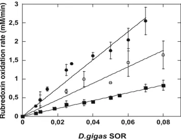 Table 1 Apparent rate constants (k app ) of superoxide-mediated electron transfer reactions between rubredoxin-like proteins and superoxide reductases (SORs) from Treponema pallidum and  Des-ulfovibrio gigas (classes II and III SORs)