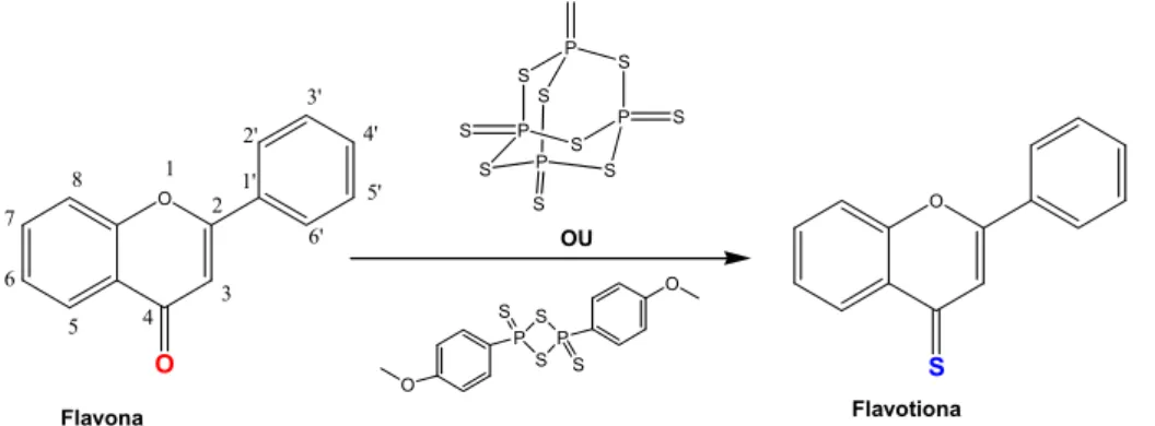 Figura 9 – Esquema da síntese das flavotionas: o grupo carbonilo (C=O) é  substituído pelo o grupo tionilo (C=S), mantendo-se inalterado o esqueleto da  molécula