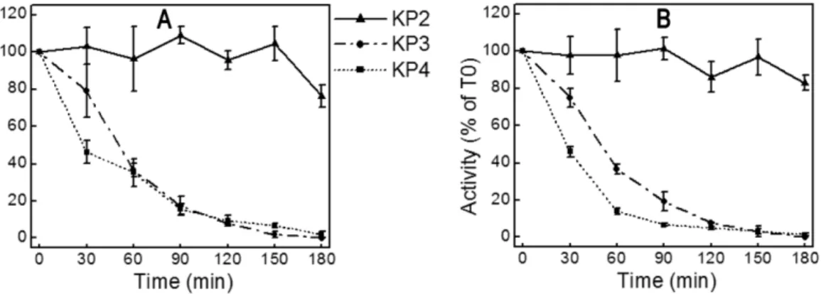 Figure 4. pH stability of knowpains. Knowpains were incubated at pH 5.5 (A) or pH 7.5 (B), identical aliquots were taken out in the beginning (T0) and after indicated time intervals and assessed for hydrolysis of Z-LR-AMC as described in the Materials and 