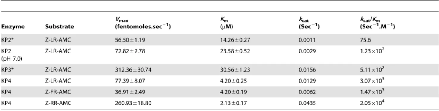 Figure 5. Hydrolysis of haemoglobin by knowpains. Identical concentrations (50 nM) of indicated knowpains were incubated with haemoglobin in sodium acetate buffer or Tris-Cl buffer (KP2 (pH 7)) containing DTT (5 mM) or GSH (2 mM) at 37uC