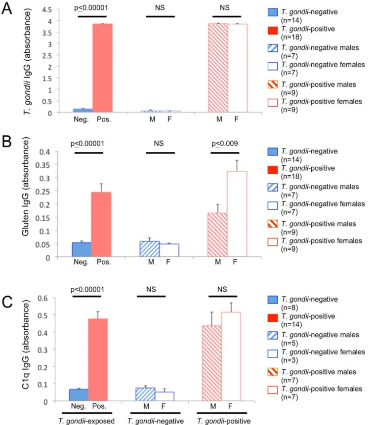 Figure 4. IgG antibody levels following peroral (PO) T. gondii exposure. Panel A: Levels of anti-T