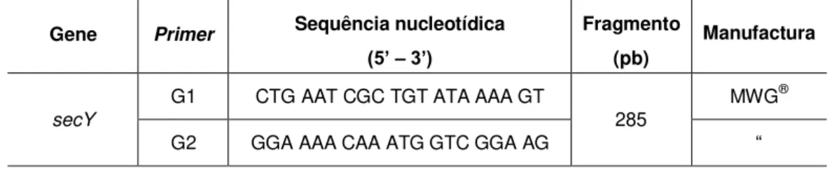 Tabela 2.1  Primers (G1-G2) utilizados na amplificação de DNA de Leptospira spp  Gene  Primer  Sequência nucleotídica 