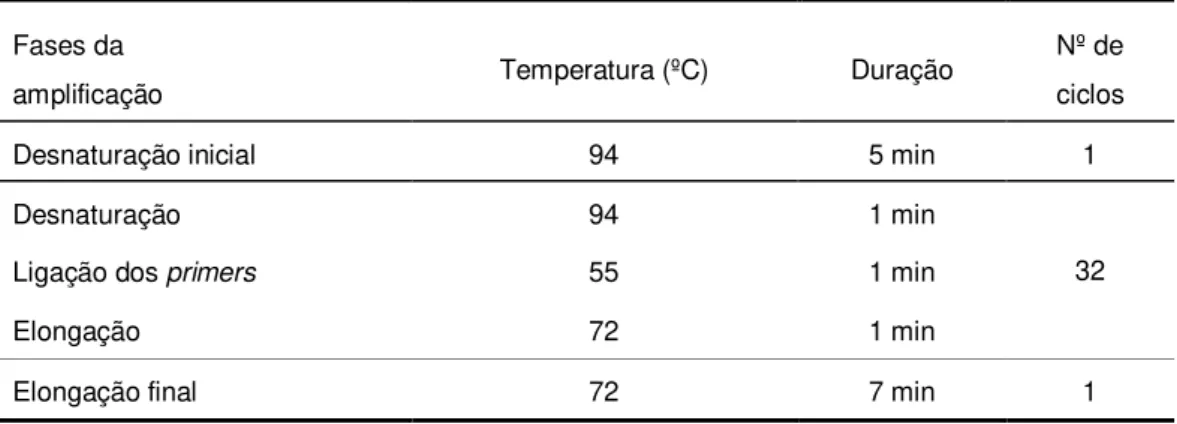 Tabela 2.3  Condições óptimas (da 1ª e 2ª amplificação) com os primers A-lipL32  Fases da 