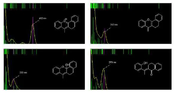 Figura 19 – espectros de absorção de 9 e espécies em equilíbrio gerados por computação 