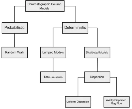 Figure 2.3: Flowchart of the several mathematical approaches to model a chro- chro-matographic column.