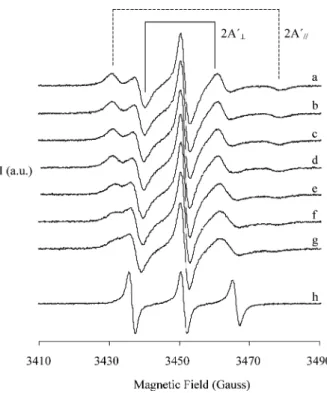 Fig. 1. EPR spectra of 5-DSA spin labeled 0.1 M AOT reverse micelles with W 0 ¼ 26. (a) Reverse micelle solution without aldehyde, (b–g) upon increasing additions of octaldehyde, and (h) spectrum of the free spin probe in isooctane