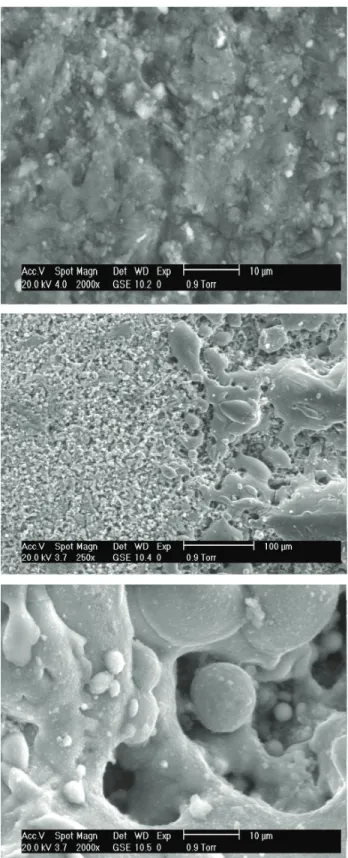 Table 1 presents the elemental composition for ce- ce-ment paste with an age of two days with 33W and  wi-thout CO 2  laser irradiation