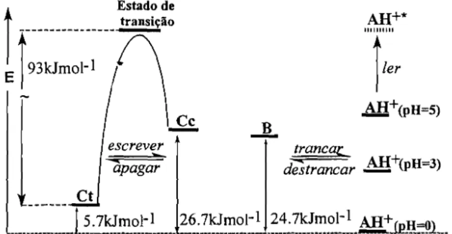 Figura 4.3 - Diagrama de energia das espécies envolvidas nas transformações do 4'·metoxiflavílio.
