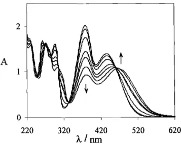 Figura 2.3 - Espectros de absorção de uma solução aquosa de cloreto de 5,7-dihidroxi-4- 5,7-dihidroxi-4-metilflavílio l.1xtO-4M em função do pH:1.48, 2.81, 3.25, 3.80, 4.36, 4.52, 4.89.