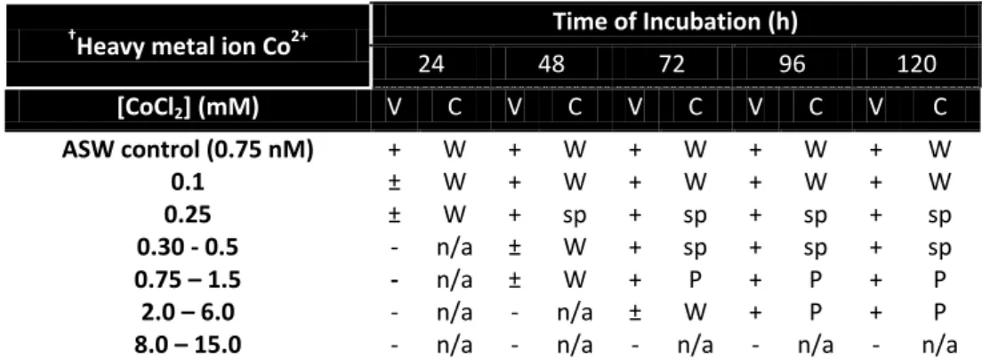 Table 5 – Results obtained in the determination of the MIC value for cobalt ions using solid media