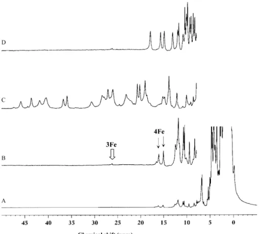 Fig. 2. 1D 1 H NMR spectra at 400 MHz of Dd27Fd (with water peak suppression). (A) Full spectrum of the anaerobically purified protein (Dd 27nat Fd); (B) expanded low field region of Dd27nat Fd; (C) dithionite reduced state (Dd27red Fd) and (D) reoxidized 