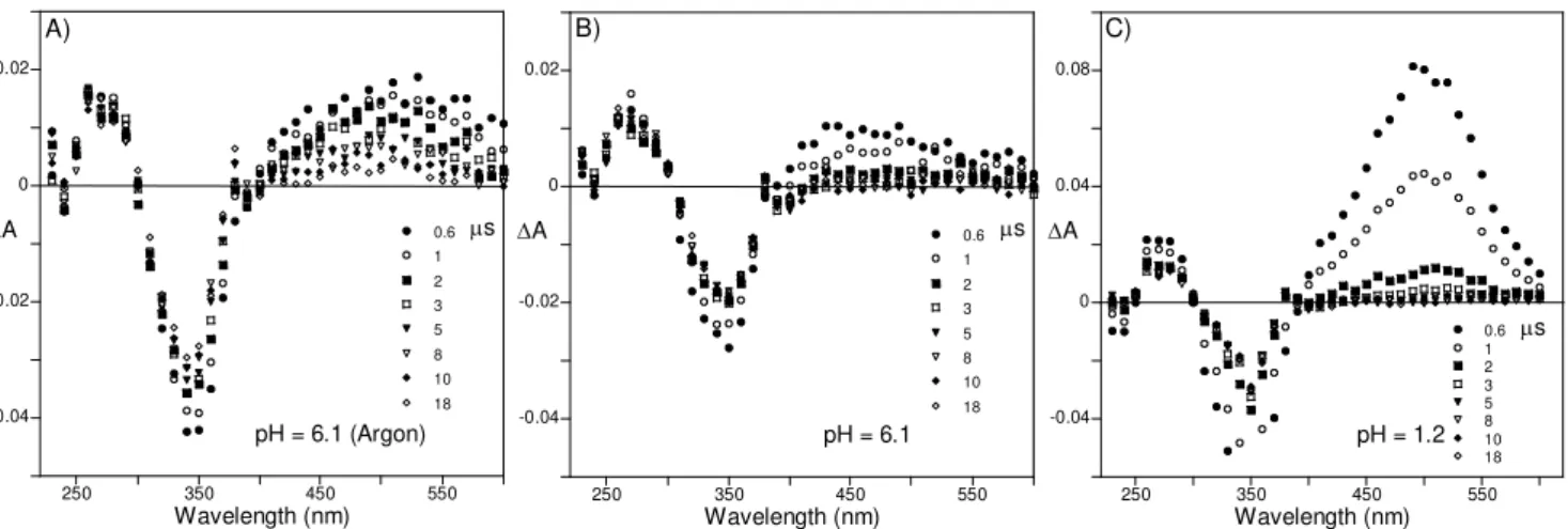Figure 3.15 – Transient absorption spectra of compound 31 in a mixture of water (90%) and ethanol  (10%)