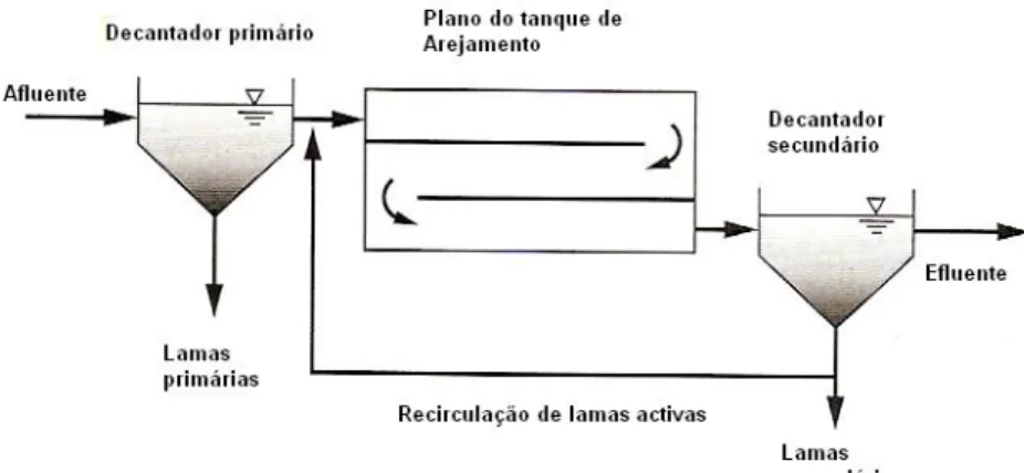 Figura 1.1.2 - Representação do tratamento biológico por lamas  activadas em suspensão, adaptado de [METCALF&amp;EDDY, 2003].