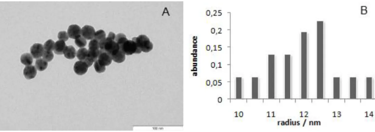 Figure  3:  TEM  image  of  the  AuAgNPs  (A).  Size  histogram  corresponding  to  measurements  of  approximately  100 AuAgNPs from 5 micrographs (B)