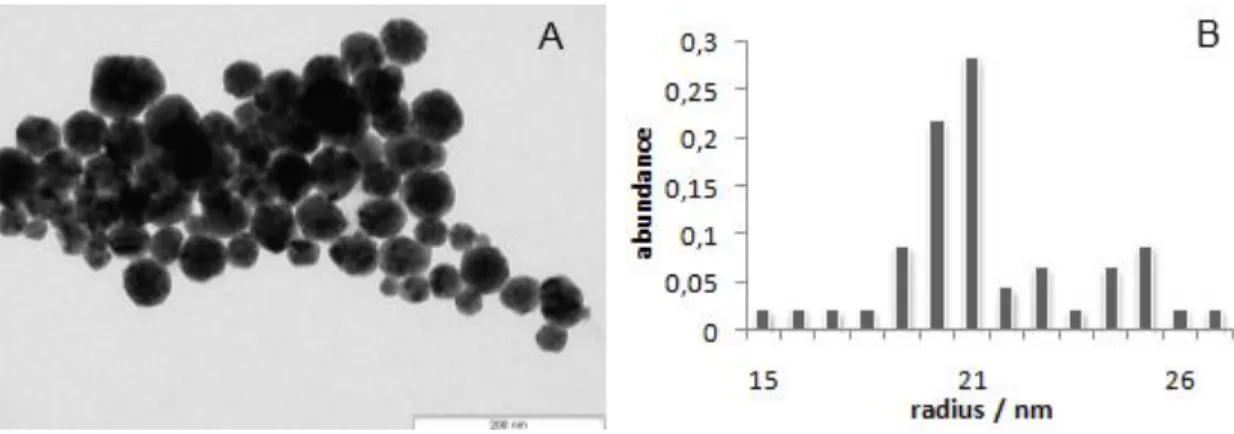 Figure  7:  TEM  image  of  the  AuAgNPs  (A).  Size  histogram  corresponding  to  measurements  of  approximately  100 AuAgNPs from 5 micrographs (B)