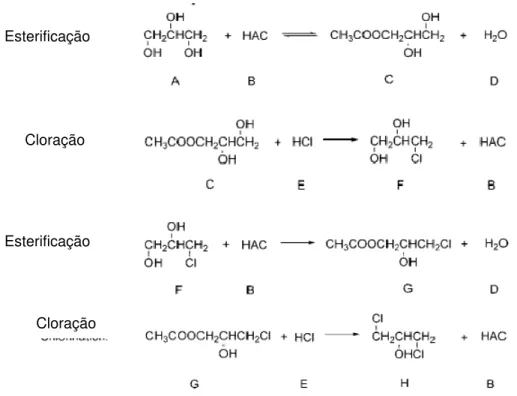 Figura 1.8 Mecanismo de produção de dicloropropanol a partir do glicerol [20]: A-glicerol, B-ácido  acético, C-glicerol-1-acetato, D-água, E-ácido clorídrico, F- cloro-1,2-propanodiol, G- 