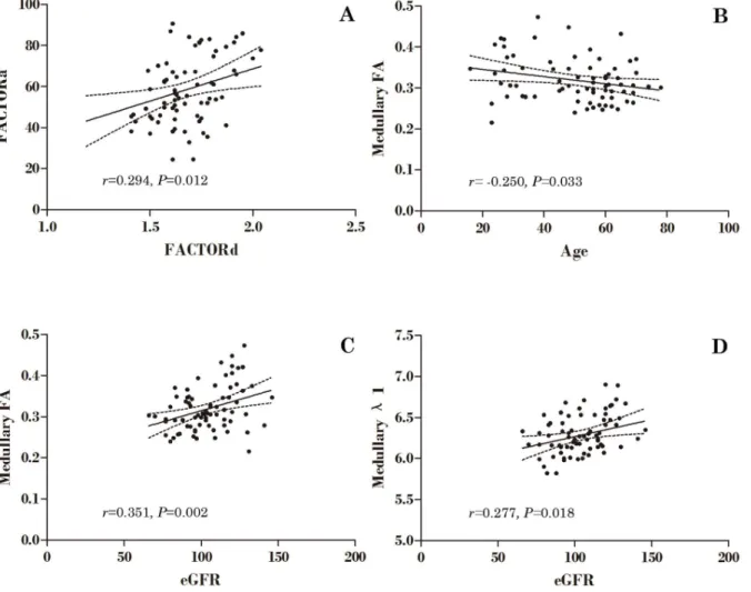 Figure 3. Correlation of renal cortical and medullary DTI parameters and anthropometric indices