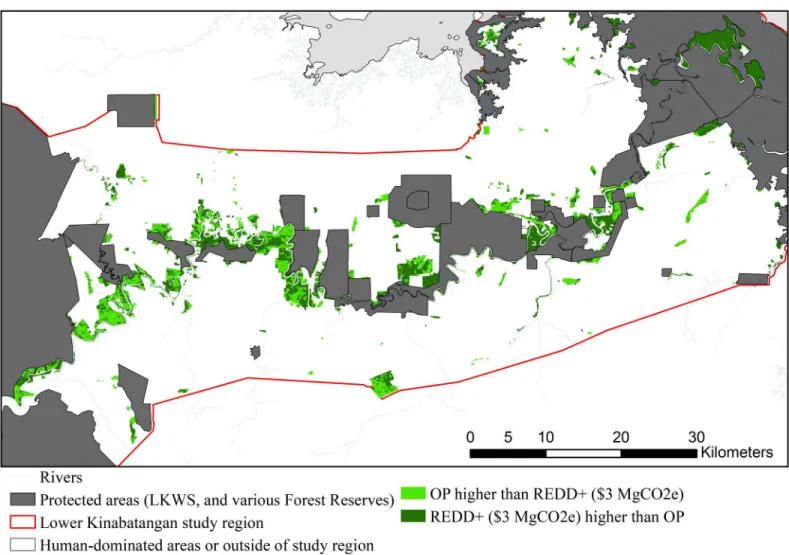 Fig 3. Spatial allocation of the highest NPV under REDD+ or oil palm. Spatial allocation of highest opportunity cost (Net Present Value) within the unprotected forests, between business-as-usual (BAU) conversion to oil palm (O.P.) verses with REDD+ project