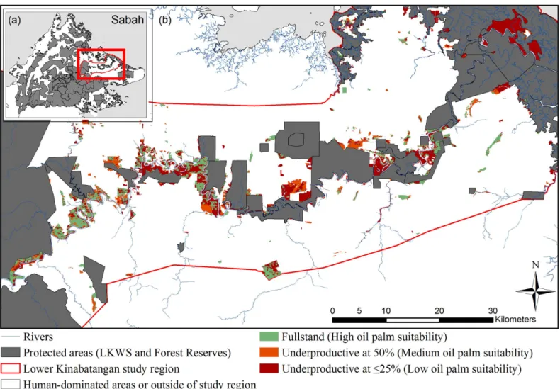 Fig 1. Map of predicted oil palm productivity classes in unprotected forest in Sabah context