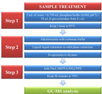 Figure I.16 – Schematic sample treatment methodology for AAS analysis by GC-MS. 