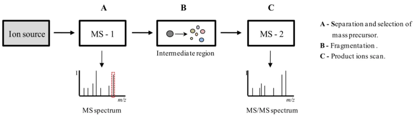 Figure I.20 – Schematic representation of an in space tandem mass spectrometry system
