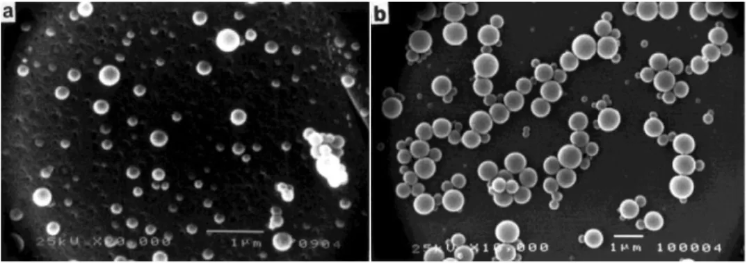 Figure 14 SEM images of PLGA 50:50 nanoparticles prepared by Jeong et al. a) DMAc or b) acetone as the polymer solvent