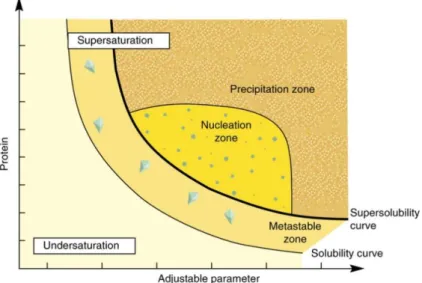 Figure 1.5.2-  Phase diagram for crystallization [35]. 