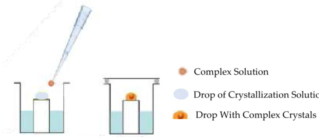 Figure 1.5.7 - Illustration of the Co-crystallization technique. 