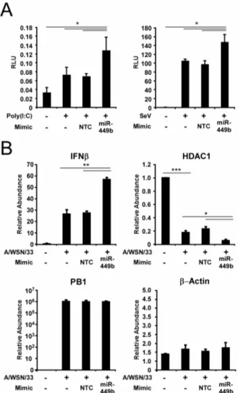 Figure  5.    MiR-449b  modulates  IFNβ  expression  through regulation  of  HDAC1.    (A)  miR-449b  derepresses  IFNβ promoter  activation