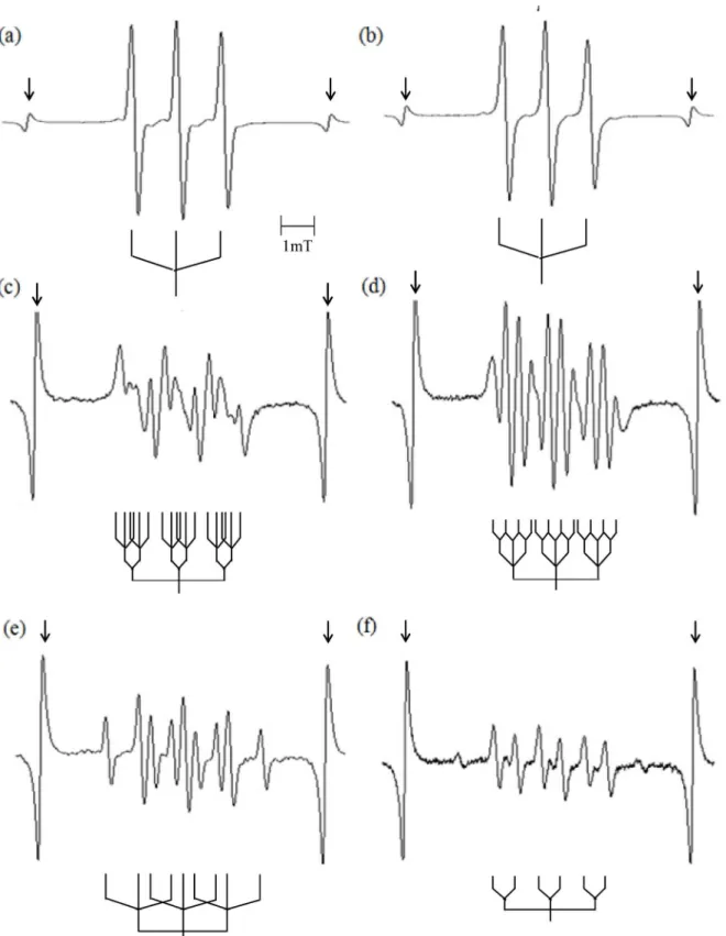 Fig 8. EPR spectra of DBNBS-spin adducts. (a) thymine, (b) thymidine, (c) uracil, (d) uridine, (e) sodium acetate, and (f) L-alanine