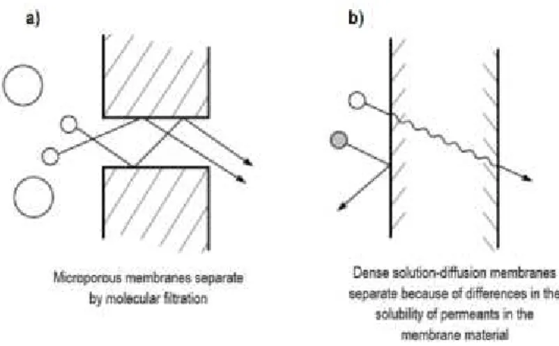 Figure 3- Molecular transport through membranes can be described by a flow through permanent  pores (a) or by the solution-diffusion mechanism (b) (Baker, 2000) 